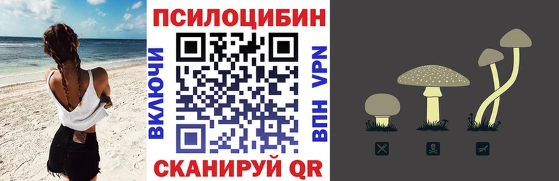 цены   OMG зеркало  Галлюциногенные грибы Cubensis  Щёлкино 